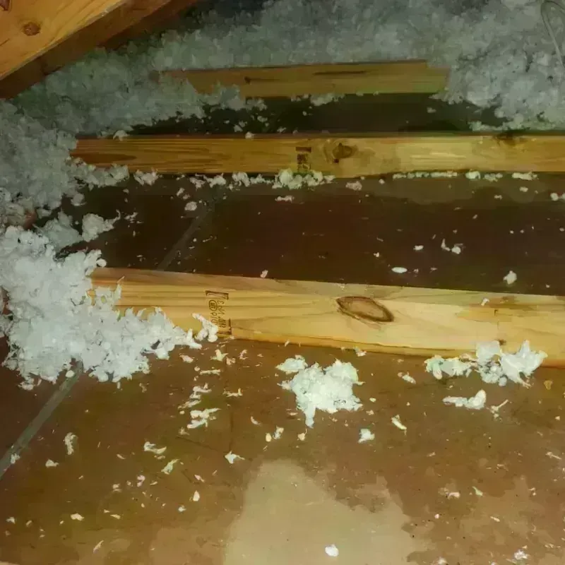 Attic Water Damage in Hamilton County, TN